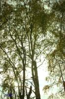 rinteln_herbst_2006_09