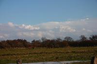 woelfis-seite_cuxhaven001a