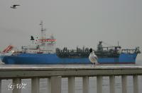 woelfis-seite_cuxhaven006