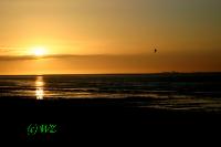 woelfis-seite_cuxhaven012