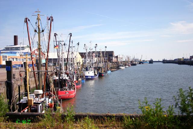 cuxhaven004 Krabbenkutter: Diese Kutter fangen die begehrten Krabben 