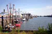 cuxhaven004 Krabbenkutter: Diese Kutter fangen die begehrten Krabben 