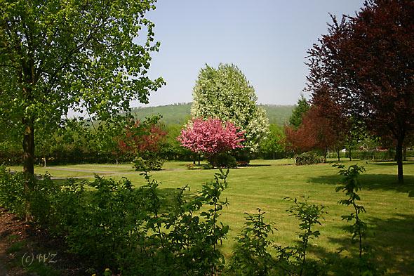 Schaumburer-Land08 