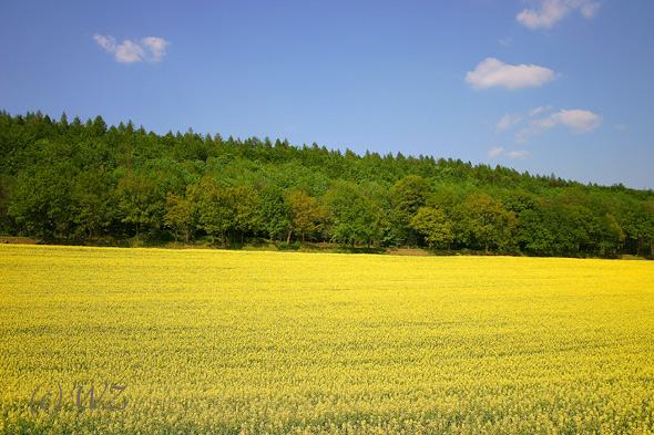 Schaumburer-Land19 