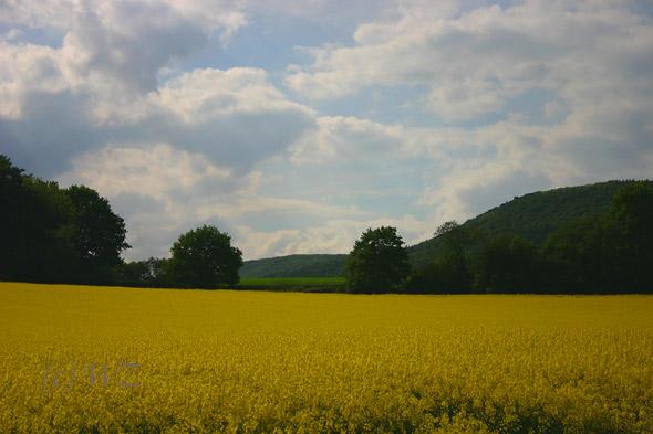 Schaumburer-Land23 
