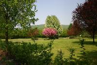 Schaumburer-Land08 