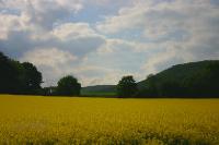 Schaumburer-Land23 