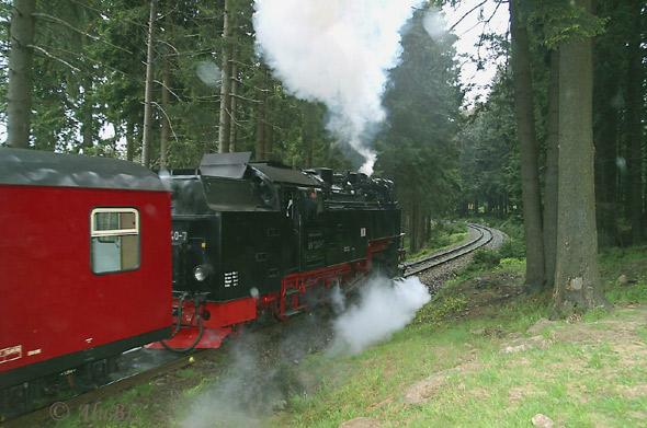 025_harzquerbahndurchWald 