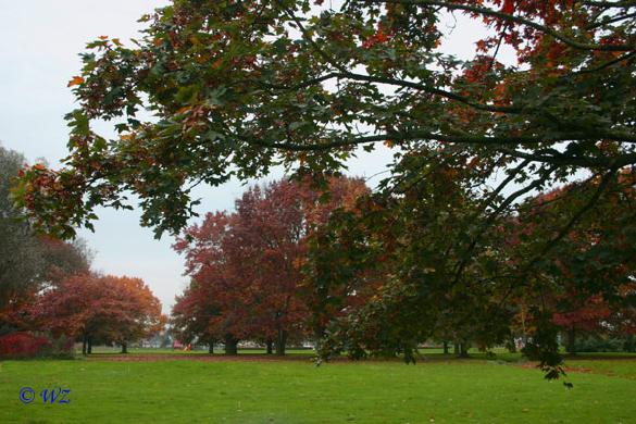 rinteln_herbst_2006_11 