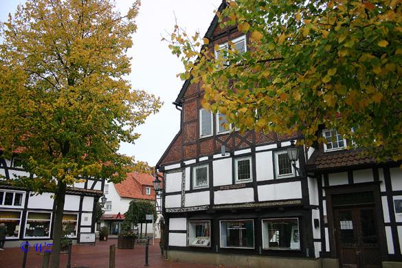 rinteln_herbst_2006_18 Rinteln: Das alte Museum, umgeben von herbstlichen B�umen.