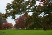 rinteln_herbst_2006_11 