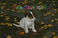 rinteln_herbst_2006_17 