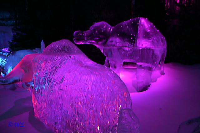 rinteln_ice_world01a 