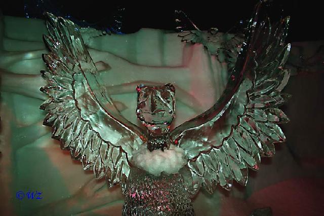 rinteln_ice_world08 