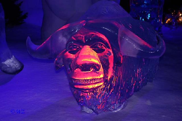 rinteln_ice_world11 