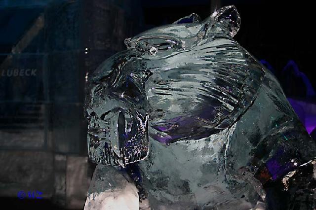 rinteln_ice_world17 