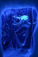 rinteln_ice_world03 