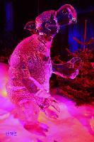 rinteln_ice_world05 
