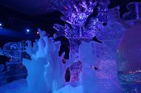 rinteln_ice_world10 
