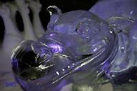 rinteln_ice_world12 