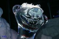 rinteln_ice_world15 
