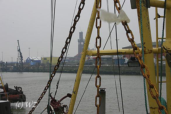 woelfis-seite_cuxhaven009 Cuxhaven am fr�hen Morgen. Der Hafen erwacht.