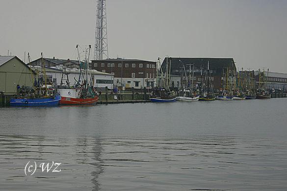 woelfis-seite_cuxhaven010 Die Krabbenkutter liegen noch an der Kaimauer. Die Fangsaison 2006 beginnt etwas sp�ter.