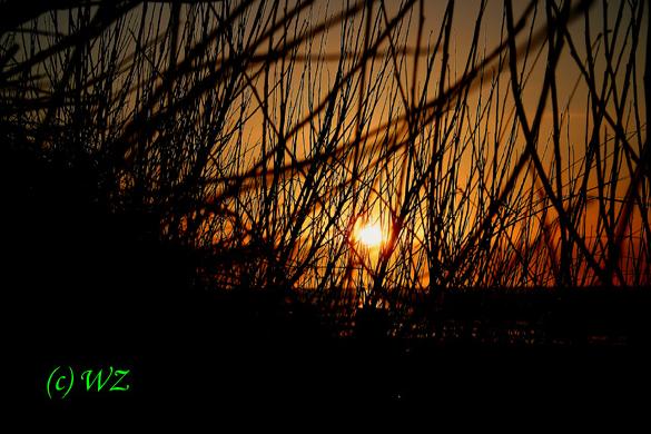 woelfis-seite_cuxhaven013 Und aus einer anderen Perspektive.