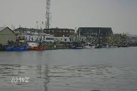 woelfis-seite_cuxhaven010 Die Krabbenkutter liegen noch an der Kaimauer. Die Fangsaison 2006 beginnt etwas sp�ter.