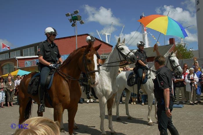 tag_der_niedersachsen_019a Wir waren erstaunt, was Polizeipferde so alles ber sich ergehen lassen.