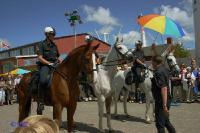 tag_der_niedersachsen_019a Wir waren erstaunt, was Polizeipferde so alles ber sich ergehen lassen.