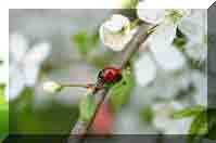   Rinteln: Naturschutzgebiet Aher Kmpe