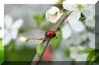   Rinteln: Naturschutzgebiet Aher Kmpe